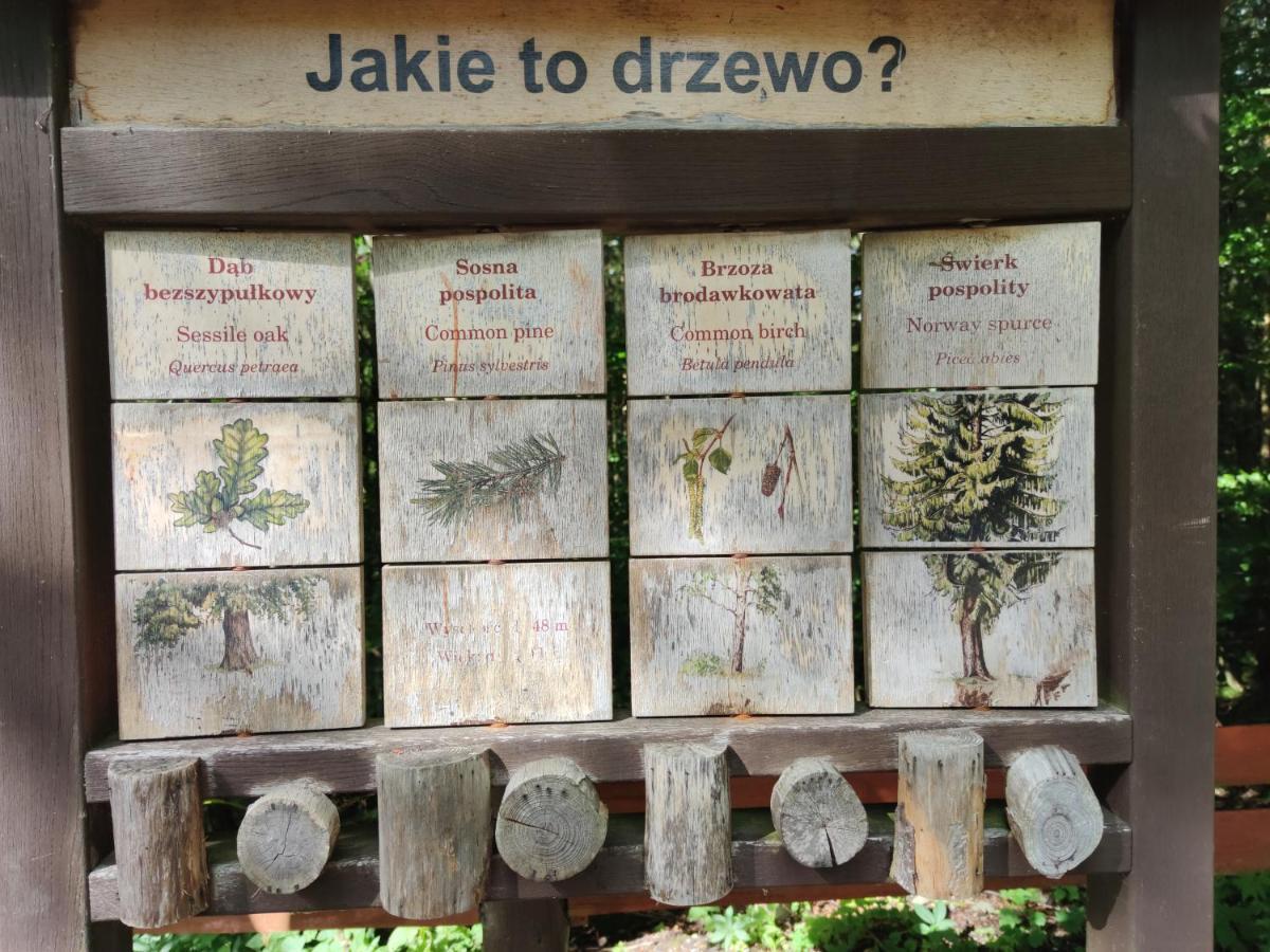 Willa Janina Lądek-Zdrój Eksteriør billede